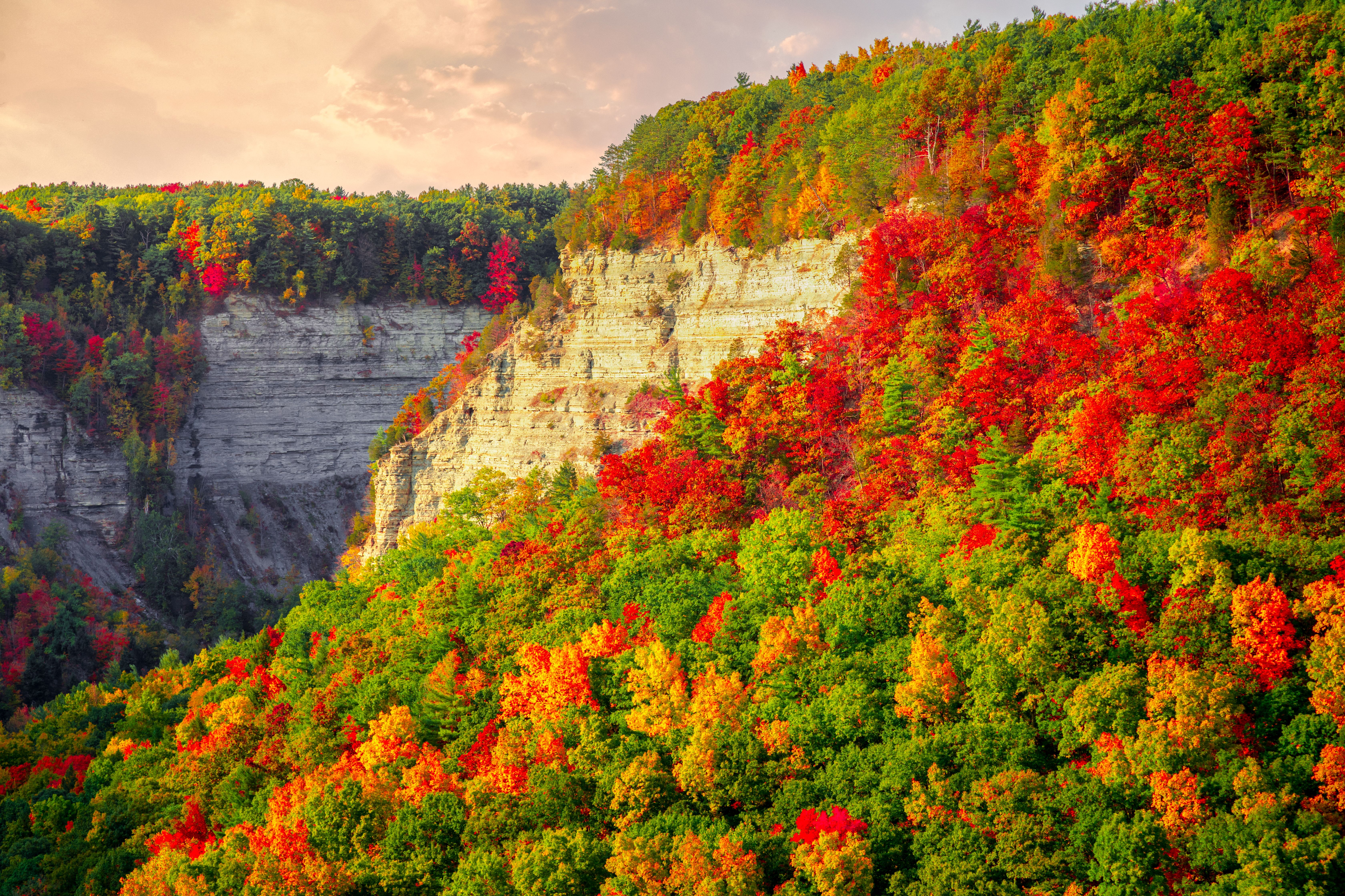 a-beatuiful-shot-of-colorful-autumn-tres-on-a-clif-2026-03-26-10-16-41-utc.jpg